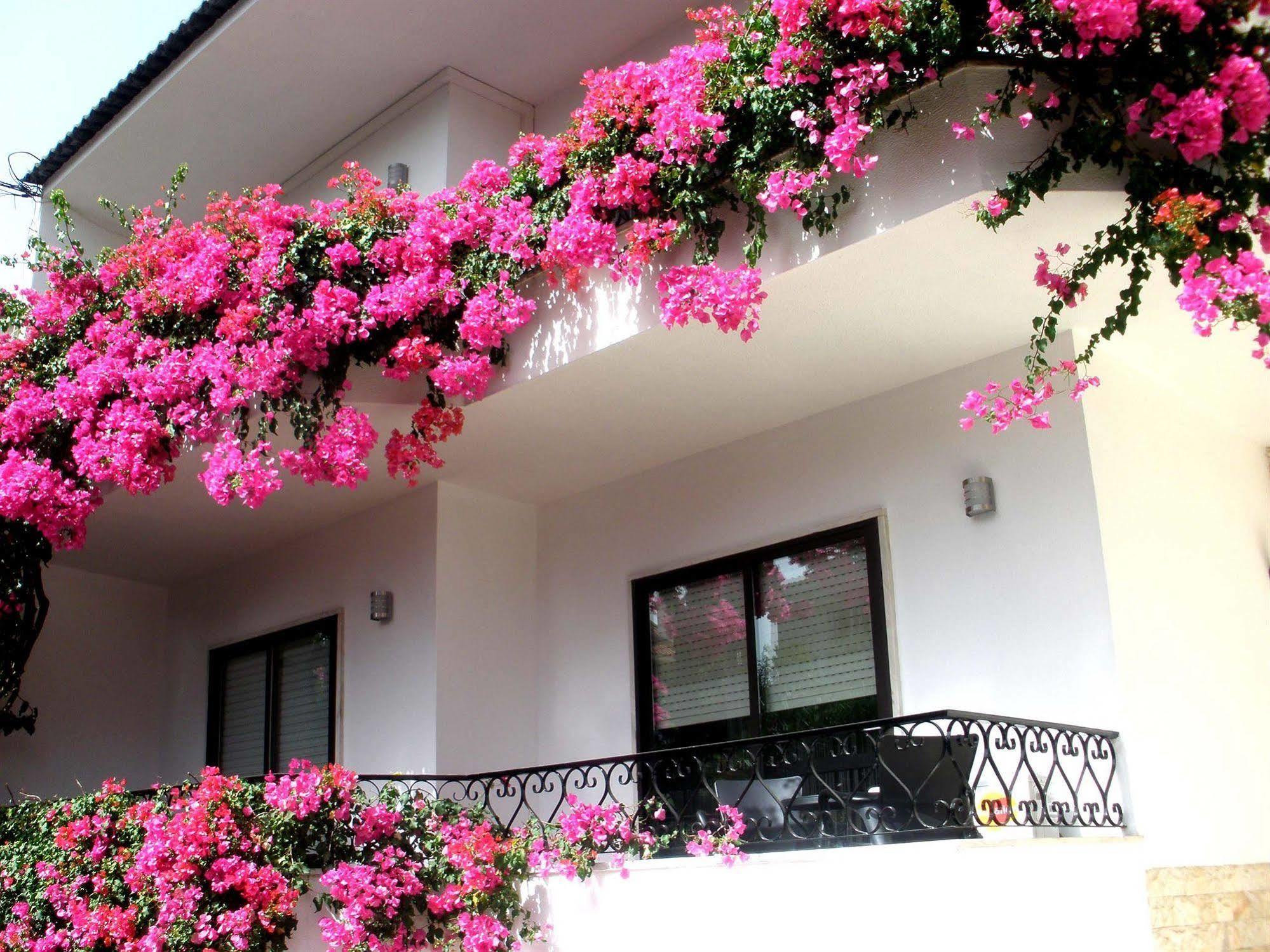 Dolce Cascais Guest House Exterior photo